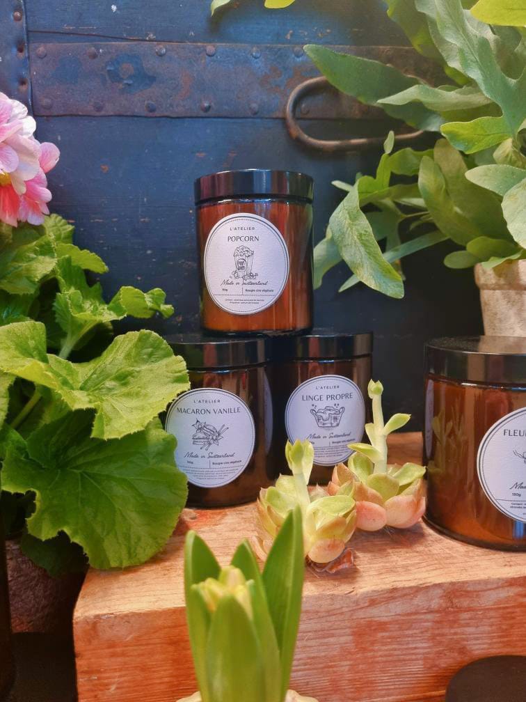 WhatsApp Image 2026-02-06 at 13.02.57